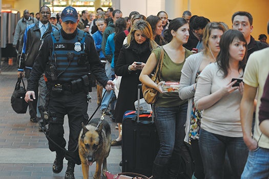 German shepherd patrolling Union Station in Washington, D.C.