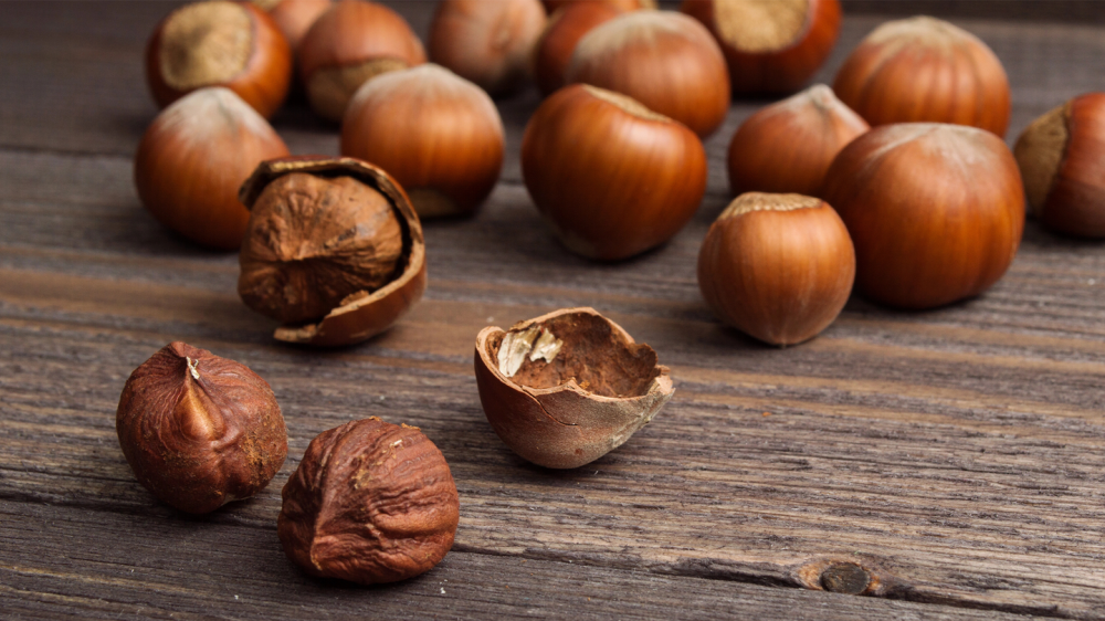 Human have been eating hazelnuts for at least 6,000 years