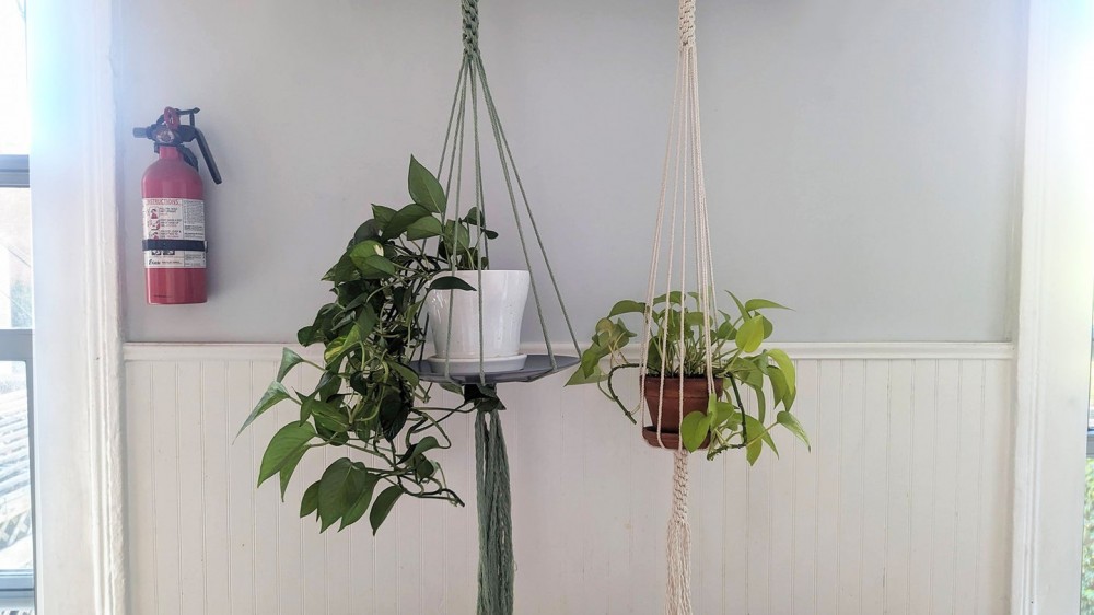 The easiest, most basic DIY plant hanger you can make