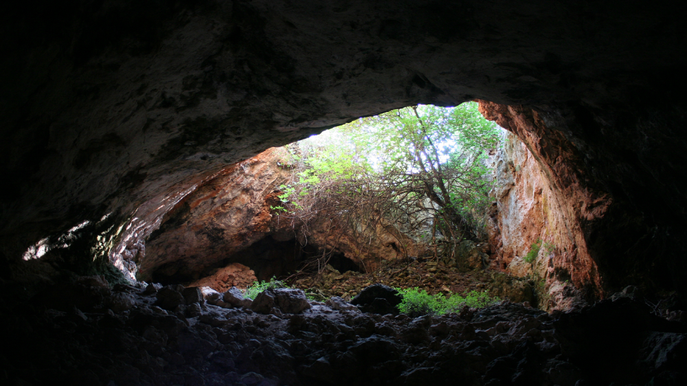 Early humans carved old skeletal remains from burial caves into tools